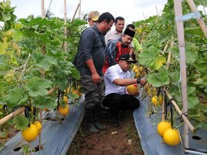 Mau Dibawa ke Mana Produk Petani?
