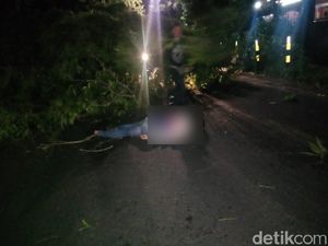Pohon Tumbang di Blitar Timpa Pemotor Hingga Tewas