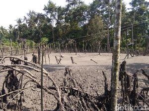 Semburan Lumpur Bercampur Gas di Aceh Utara Berhenti Semburan Lumpur Bercampur Gas di Aceh Utara Berhenti