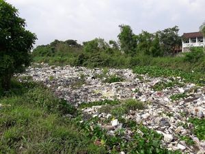 Duh! Kali Cibalok Bekasi Diselimuti Sampah dan Eceng Gondok
