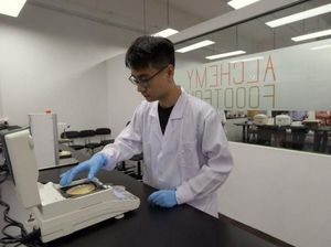 Peneliti Berhasil Ciptakan Nasi dan Roti dengan Indeks Glikemik Rendah