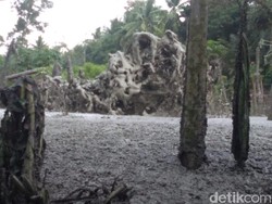 Semburan Gas Setinggi 20 Meter Muncul di Permukiman Warga di Aceh Utara