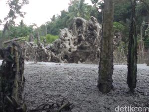 Semburan Gas Setinggi 20 Meter Muncul di Permukiman Warga di Aceh Utara Semburan Gas Setinggi 20 Meter Muncul di Permukiman Warga di Aceh Utara