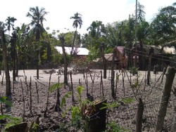 Semburan Lumpur di Aceh Utara, Warga Tak Berani Pulang ke Rumah