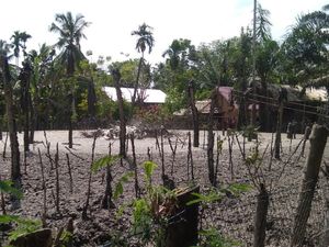 Semburan Lumpur di Aceh Utara, Warga Tak Berani Pulang ke Rumah Semburan Lumpur di Aceh Utara, Warga Tak Berani Pulang ke Rumah