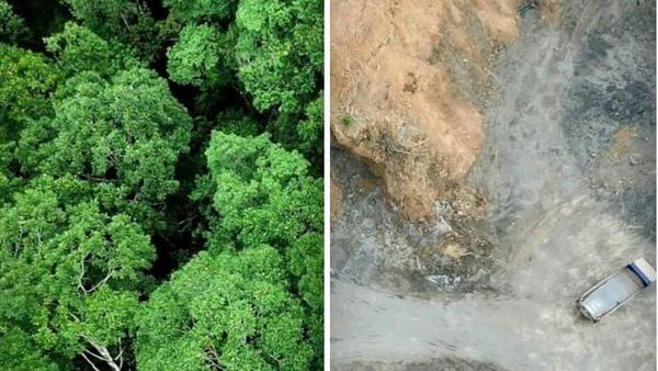 Potret Alam #10yearchallenge yang Menyayat Hati