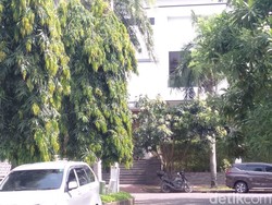 Petugas Keamanan Lihat Veronica Tan Keluar dari Rumah Ahok