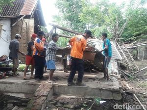 8 Rumah Warga di Situbondo Rusak Tertimpa Pohon Tumbang