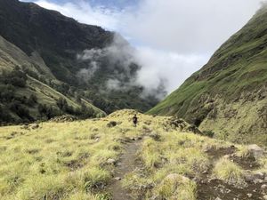 Jalur Pendakian Gunung Rinjani Masih Dibuka Meski Ada Kebakaran Jalur Pendakian Gunung Rinjani Masih Dibuka Meski Ada Kebakaran