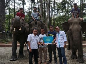 Pertamina Jaga Kelestarian Gajah Sumatera dan Elang Bondol Pertamina Jaga Kelestarian Gajah Sumatera dan Elang Bondol