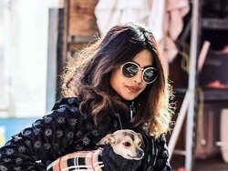 Mewah, Anjing Priyanka Chopra Pakai Jaket Seharga Rp 6,9 Juta