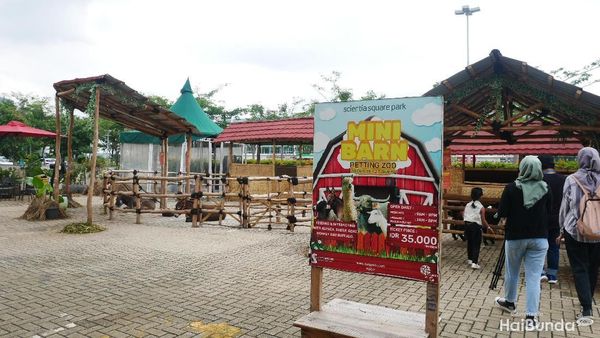 Wisata Kenalkan Anak pada Hewan Ternak di Mini Barn