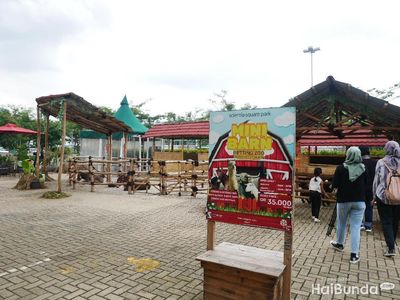 Wisata Kenalkan Anak pada Hewan Ternak di Mini Barn