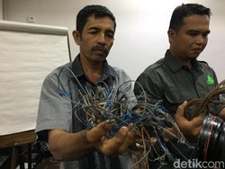 Pahit Manis Pak Syam 26 Tahun Jaga Hutan Leuser Tetap Lestari