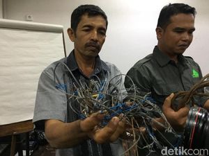Pahit Manis Pak Syam 26 Tahun Jaga Hutan Leuser Tetap Lestari Pahit Manis Pak Syam 26 Tahun Jaga Hutan Leuser Tetap Lestari