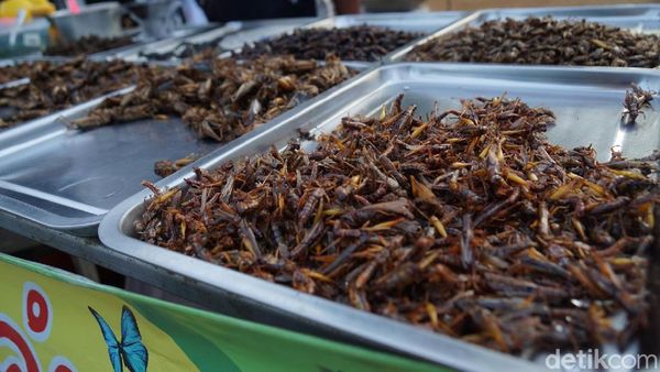 Foto: Icip-icip Kuliner Serangga di Thailand, Berani?