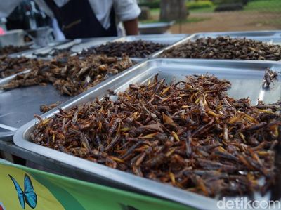 Foto: Icip-icip Kuliner Serangga di Thailand, Berani?