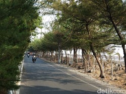 Tangkal Banjir Rob, Risma Tambah Rumah Pompa dan Tanggul Laut