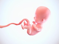 Penjelasan di Balik Bayi Bisa Tersenyum di dalam Kandungan