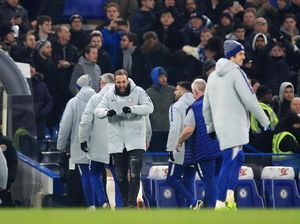 Simbiosis Mutualisme Chelsea dan Higuain Simbiosis Mutualisme Chelsea dan Higuain