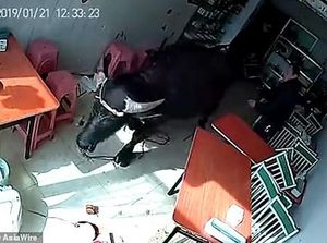 Sedang Asyik Makan di Restoran, Pengunjung Ini Diseruduk Kerbau