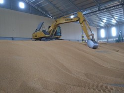 Penjelasan Lengkap Pemerintah soal Setop Impor Jagung