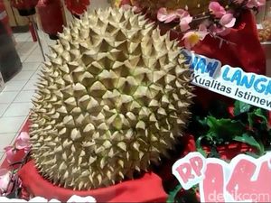 Di Tasikmalaya Durian Asal Banyumas Ini Dihargai Rp 14 Juta Sebuah, Mau Beli?
