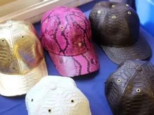 Impor Aksesori Piton dari Indonesia, Selebgram Tajir Dihukum di London