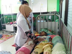 Penderita Demam Berdarah di Situbondo 27 Orang, Satu Meninggal