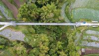 Diganti Baru, Jembatan Indiana Jones di RI Mulai Lenyap