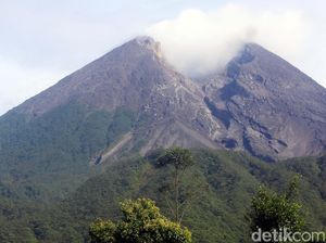 Lagi, Merapi Keluarkan Awan Panas Siang Ini Jarak Luncurnya 1 Km
