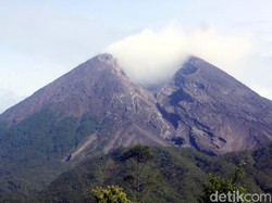 Gunung Merapi Kembali Keluarkan Awan Panas, Jarak Luncur 400 Meter