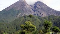 Gunung Merapi Gugurkan Awan Panas 1,1 Km Sore Ini - PORTAL INDONESIA NEWS