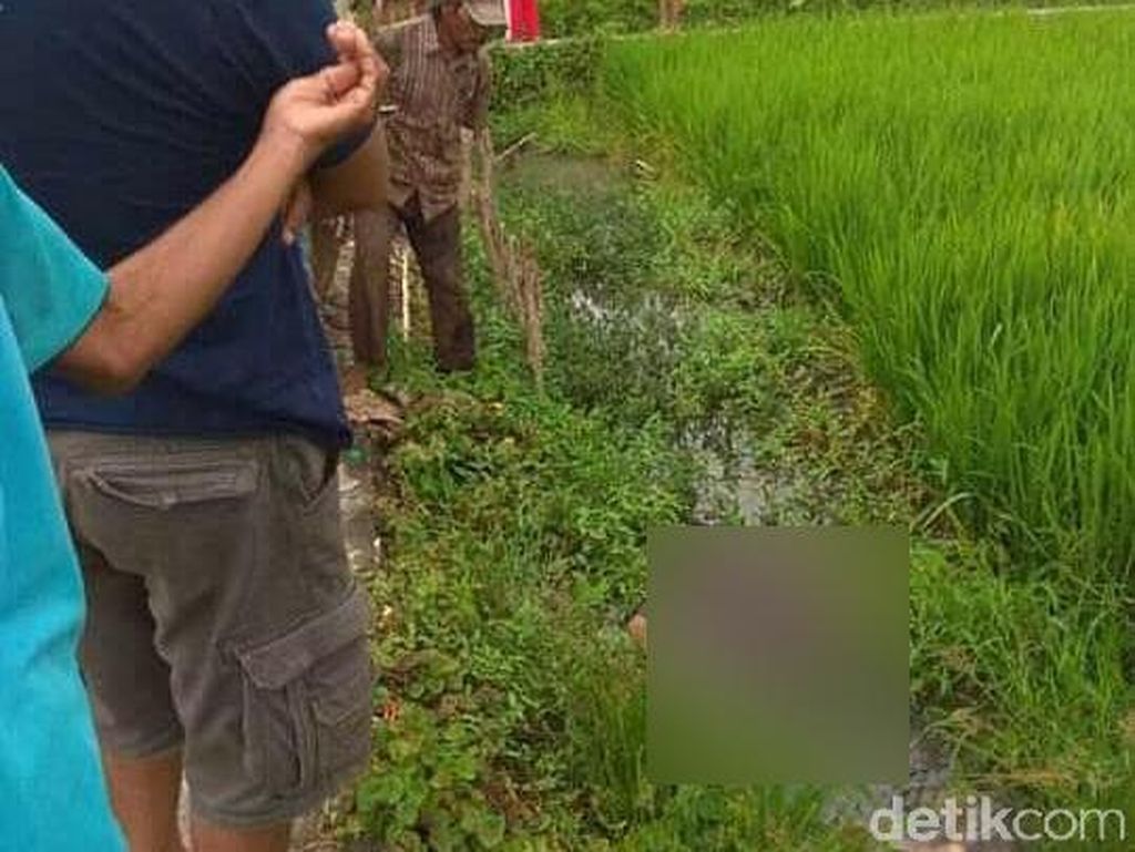 Sesosok Pria Rambut Dikuncir Ditemukan Tewas di Saluran Irigasi Sesosok Pria Rambut Dikuncir Ditemukan Tewas di Saluran Irigasi