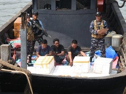 TNI AL Gagalkan Penyelundupan 7.000 Belangkas dari Aceh ke Thailand