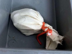 Ups! Turis Ini Ketahuan Selundupkan Ular di... Celananya