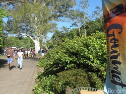 Setiap Minggu, Warga Kota di Selandia Baru Ini Menghilang