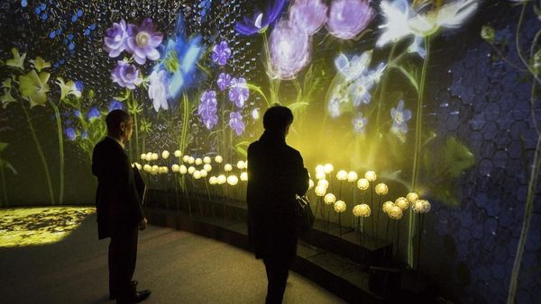 Keren! Menikmati Keindahan Beragam Bunga dalam Sajian Digital