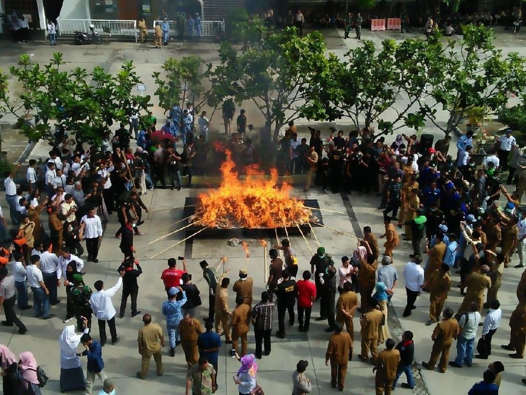 Aparat Musnahkan Ganja dengan Cara Dibakar, Apa Tidak Bikin Mabuk? Aparat Musnahkan Ganja dengan Cara Dibakar, Apa Tidak Bikin Mabuk?