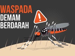 12 Orang Meninggal Akibat DBD di Jawa Tengah dalam Sebulan