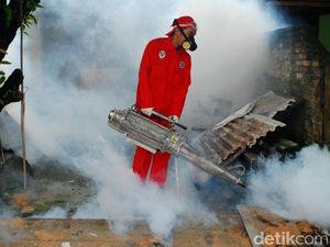 Pasien Demam Berdarah di Blitar Meningkat 150%, Tiga Meninggal Pasien Demam Berdarah di Blitar Meningkat 150%, Tiga Meninggal