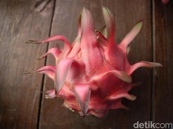 Tips Memilih Buah Naga Biar Nggak Tertipu Kulit Luarnya