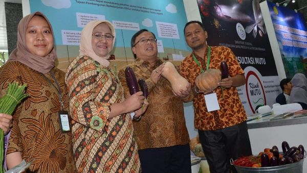 Gerakan Konsumsi Sayuran untuk Pemenuhan Gizi Nasional
