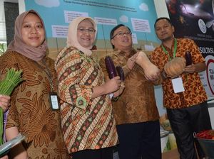 Gerakan Konsumsi Sayuran untuk Pemenuhan Gizi Nasional