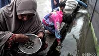 Pasca Banjir Rob, Warga Muara Angke Cari Ikan di Selokan