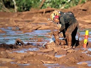 Tim Penyelamat Brasil Evakuasi Hewan Terdampak Bencana