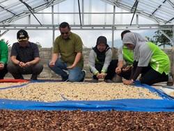 Pertamina Gandeng FlipMAS Minangkabau Kembangkan Kopi Kerinci