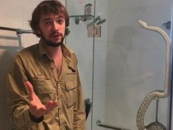 Cuaca Panas Picu Banyak Ular Sambangi Toilet Warga untuk Mencari Air