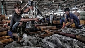 Melihat Aktivitas Pedagang Ikan Tradisional Jelang Relokasi