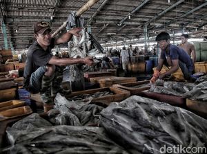 Melihat Aktivitas Pedagang Ikan Tradisional Jelang Relokasi Melihat Aktivitas Pedagang Ikan Tradisional Jelang Relokasi